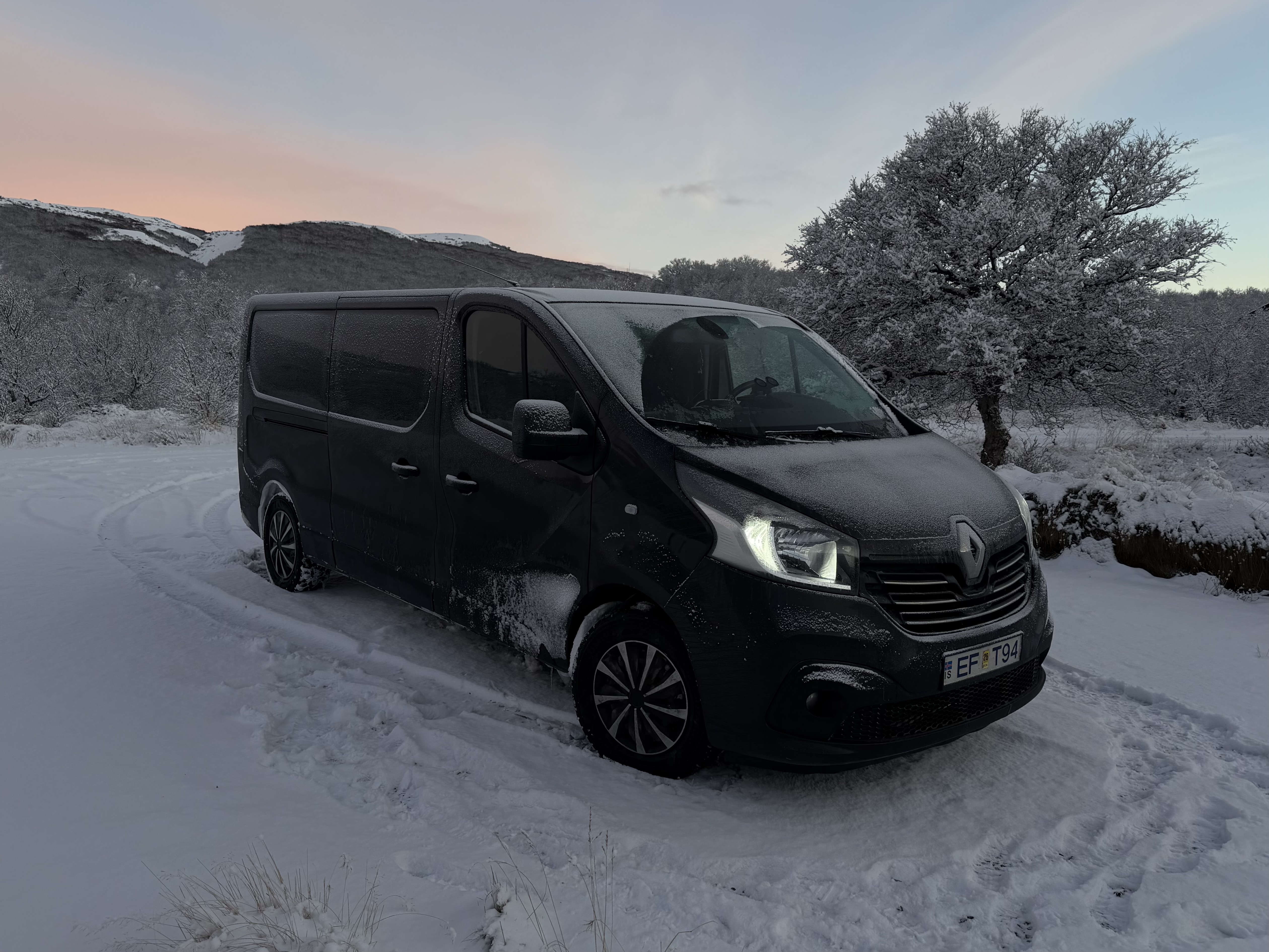 Renault  Trafic Long